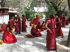 Debating monks - Debatterende munke