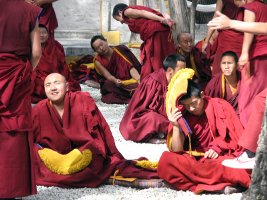 Debating monks - Debatterende munke