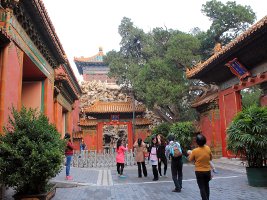 Forbidden City - Den forbudte By