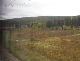 View from the train - Udsigten fra toget