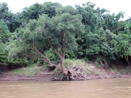 Along the Mekong River - Langs Mekong Floden