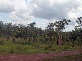 The Ghan: View from the train - Udsigten fra toget